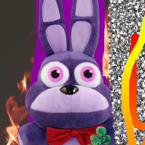 Meet your Posher, Bonnie